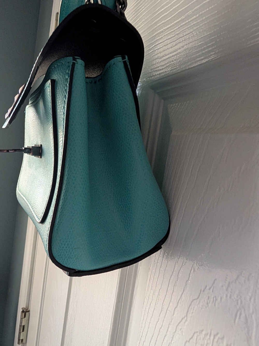 Mini Leather Crossbody - Picture 10 of 16